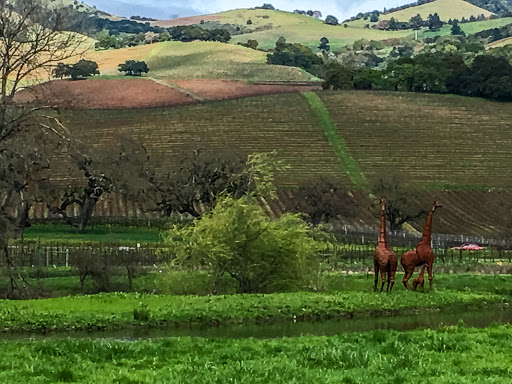 Winery «Deerfield Ranch Winery», reviews and photos, 10200 Sonoma Hwy, Kenwood, CA 95452, USA