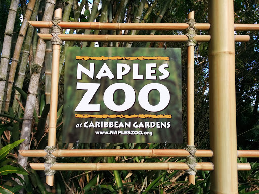 Zoo «Naples Zoo at Caribbean Gardens», reviews and photos, 1590 Goodlette-Frank Rd, Naples, FL 34102, USA