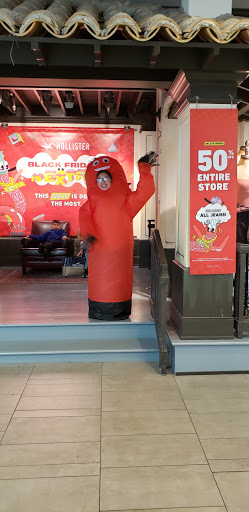 Clothing Store «Hollister Co.», reviews and photos, 875a Broadway Mall, Hicksville, NY 11801, USA