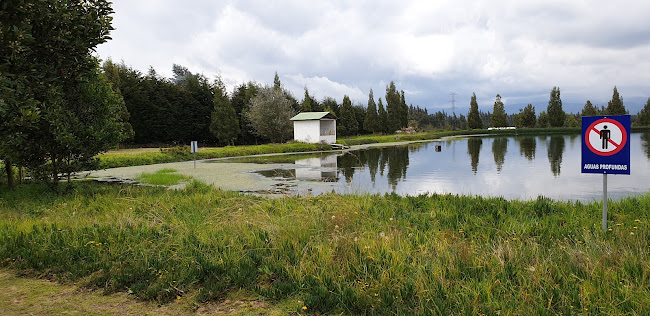 Opiniones de Blooming Acres en Tanicuchi - Oficina de empresa