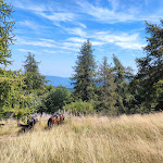 Photo n°5 de l'avis de Maurelio.a fait le 19/08/2023 à 14:58 sur le  Colle Melosa Ristorante Bar Rifugio Escursionistico à Pigna