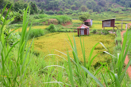 Top 20 cửa hàng vinmart tphcm Huyện Vũ Thư Thái Bình 2022