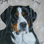 Photo n° 1 de l'avis de elevage.a fait le 17/11/2021 à 19:57 pour L'Atelier d'Egiane à Bourbourg