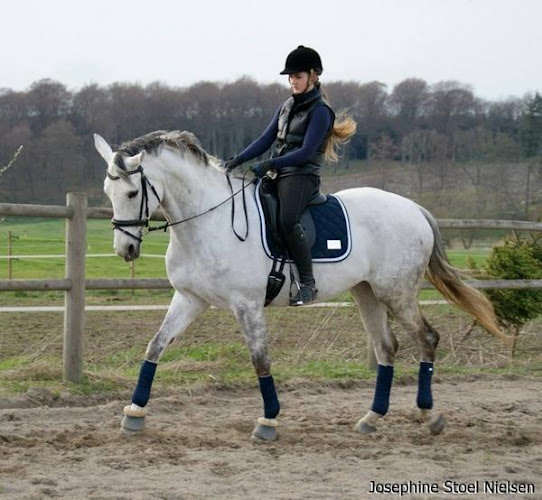 Anmeldelser af Fredensborg - Humlebæk Sportsrideklub i Humlebæk - Eventbureau