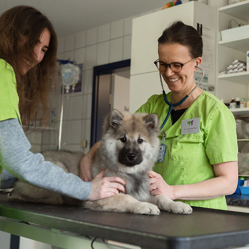 Fachtierarztpraxis am Schaumberg unter Tholey, Saarland