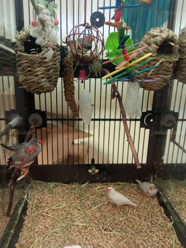 Pet Supply Store «PetSmart», reviews and photos, 2458 Central Park Ave, Yonkers, NY 10710, USA