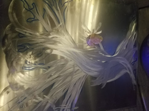 Self-Storage Facility «Bridge Storage and Artspace», reviews and photos, 23 Maine Ave, Richmond, CA 94804, USA