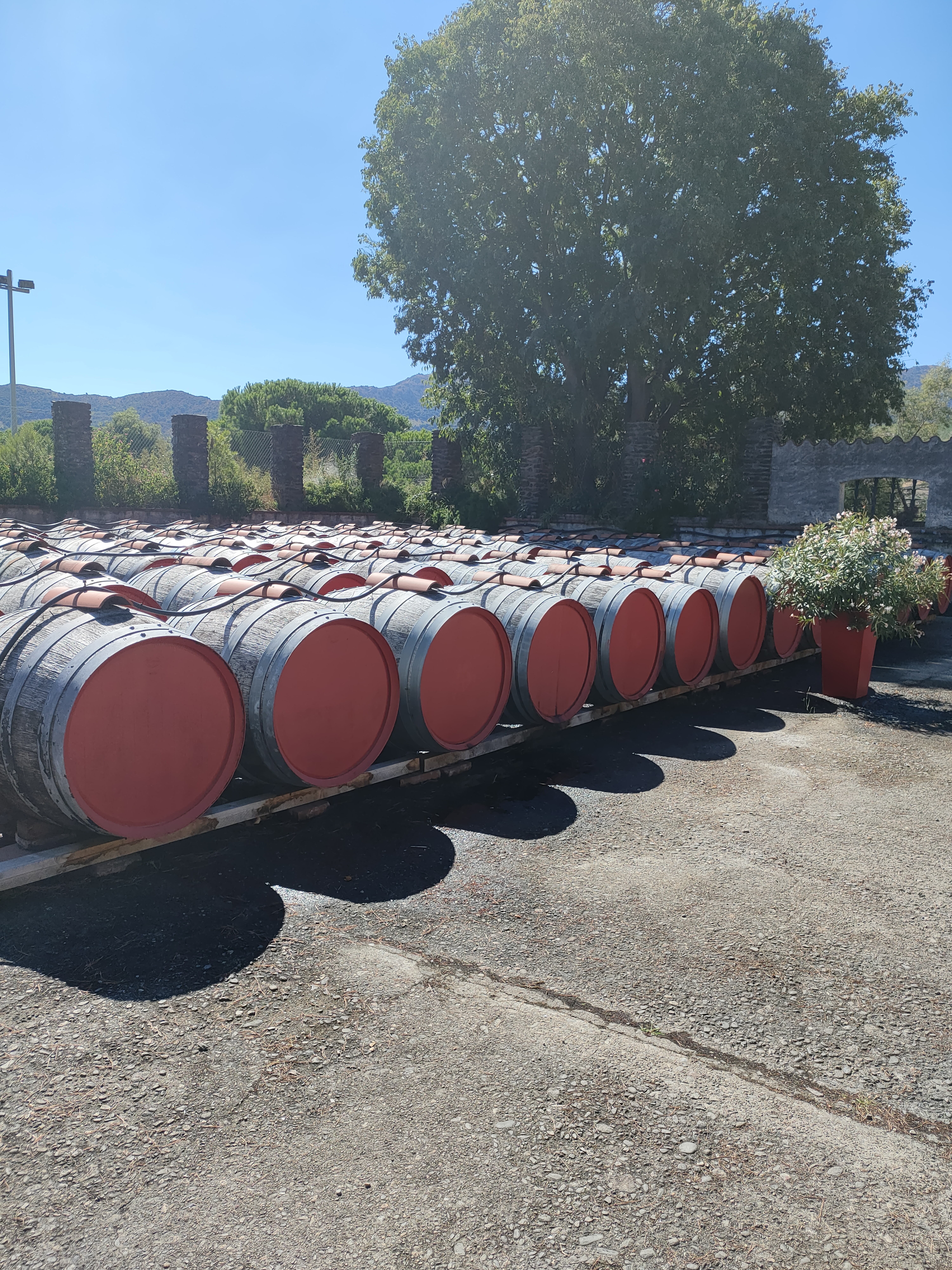 Photo n° 6 de l'avis de Marion.a fait le 26/08/2022 à 15:57