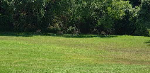 Golf Course «Pleasanton Country Club», reviews and photos, 1801 McGuffin Dr, Pleasanton, TX 78064, USA