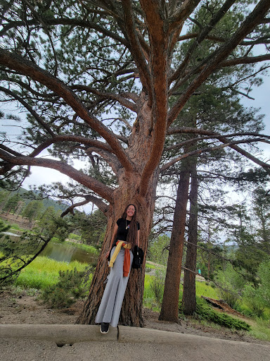 Sightseeing Tour Agency «Aspire Tours», reviews and photos, 6275 W 38th Ave, Wheat Ridge, CO 80033, USA