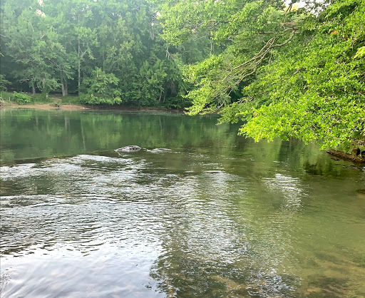 Park «Jones Bridge Park», reviews and photos, 4901 E Jones Bridge Rd, Peachtree Corners, GA 30092, USA