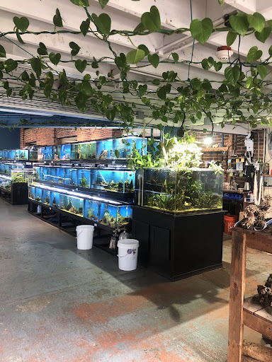 Pet Store «The Pet Works», reviews and photos, 407 4th Ave E, Olympia, WA 98501, USA