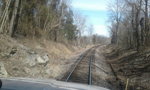 Pet Store «Pavones Pet Retreat Llc», reviews and photos, 3350 Hwy 64 NE, New Salisbury, IN 47161, USA