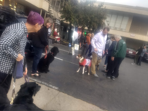 Pet Supply Store «HOWLISTIC», reviews and photos, 930 W Washington St #7, San Diego, CA 92103, USA