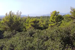 Syggrou Forest Watchtower image