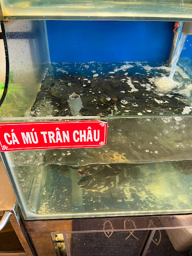 Top 20 chính sách cửa hàng Quận 5 Hồ Chí Minh 2022