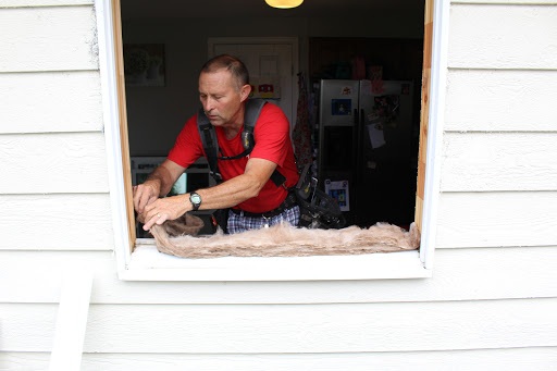 Window Installation Service «Comfort Windows», reviews and photos