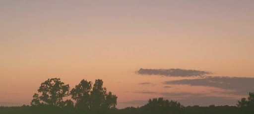 Drive-in Movie Theater «Birdsong Drive-In Theater», reviews and photos, 907 Shiloh Church Rd, Camden, TN 38320, USA