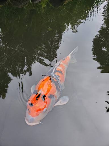 Gift Shop «Portland Japanese Garden Gift Shop», reviews and photos, 611 SW Kingston Ave, Portland, OR 97205, USA