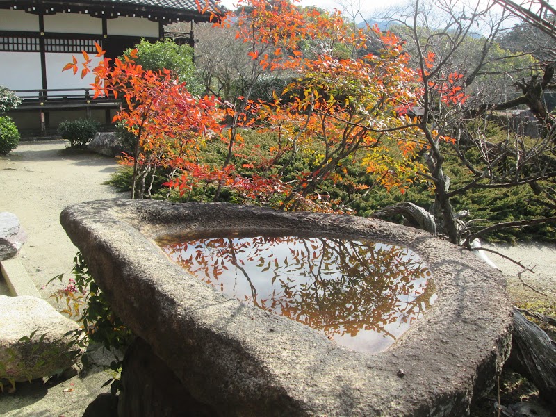 徳川家 寄進 半月水盆