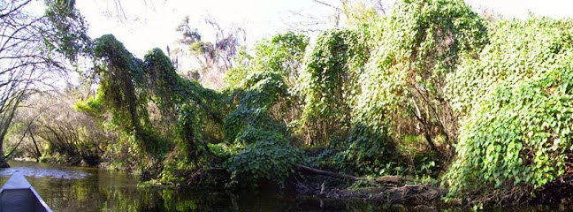 Canoe Outpost-Little Manatee River