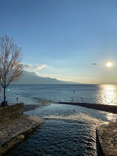 Club Aviron Vevey - Verband