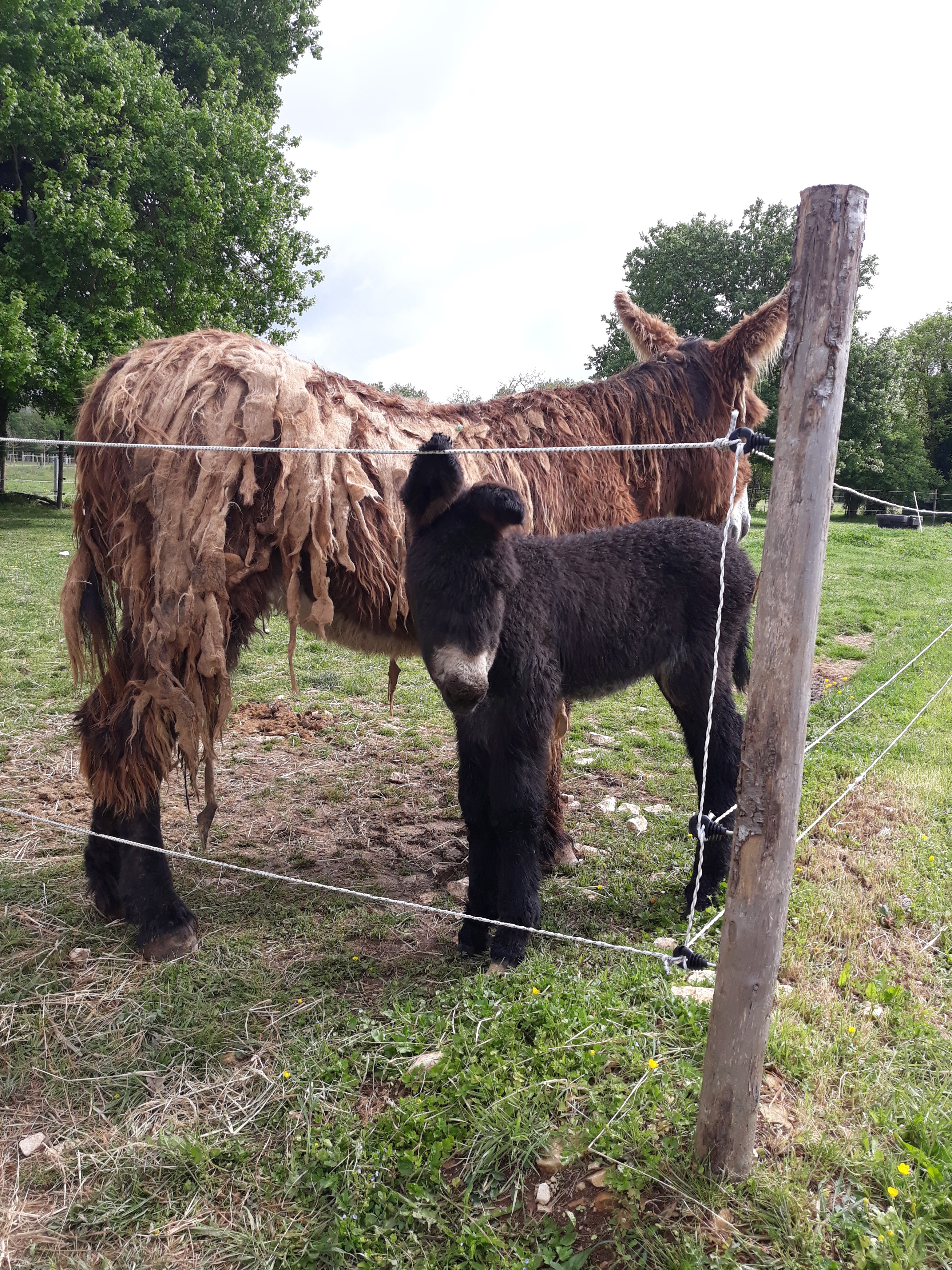 Photo n° 5 de l'avis de Nathalie.i fait le 28/04/2019 à 10:40