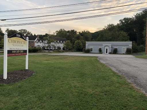 516 E Washington St, Chagrin Falls, OH 44022, USA