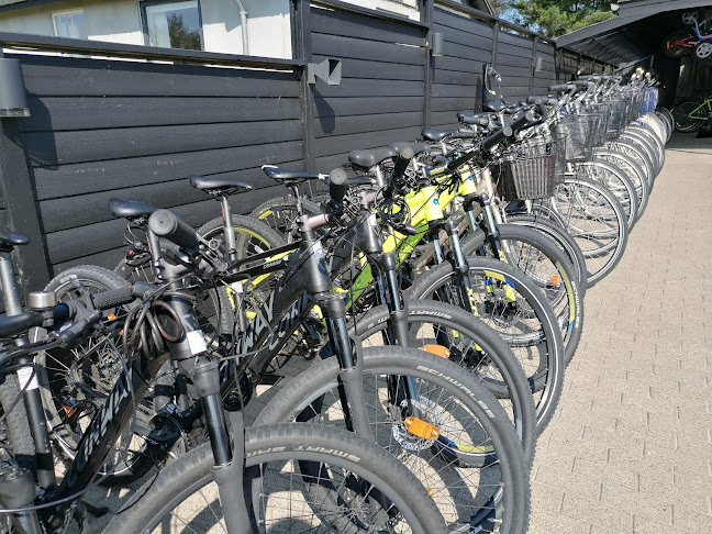 Hune-Blokhus Cykeludlejning, Fahrradverleih - Cykelbutik