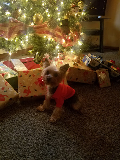 Pet Supply Store «Mom & Pups Inc», reviews and photos, 800 Whitlock Ave NW #104, Marietta, GA 30064, USA