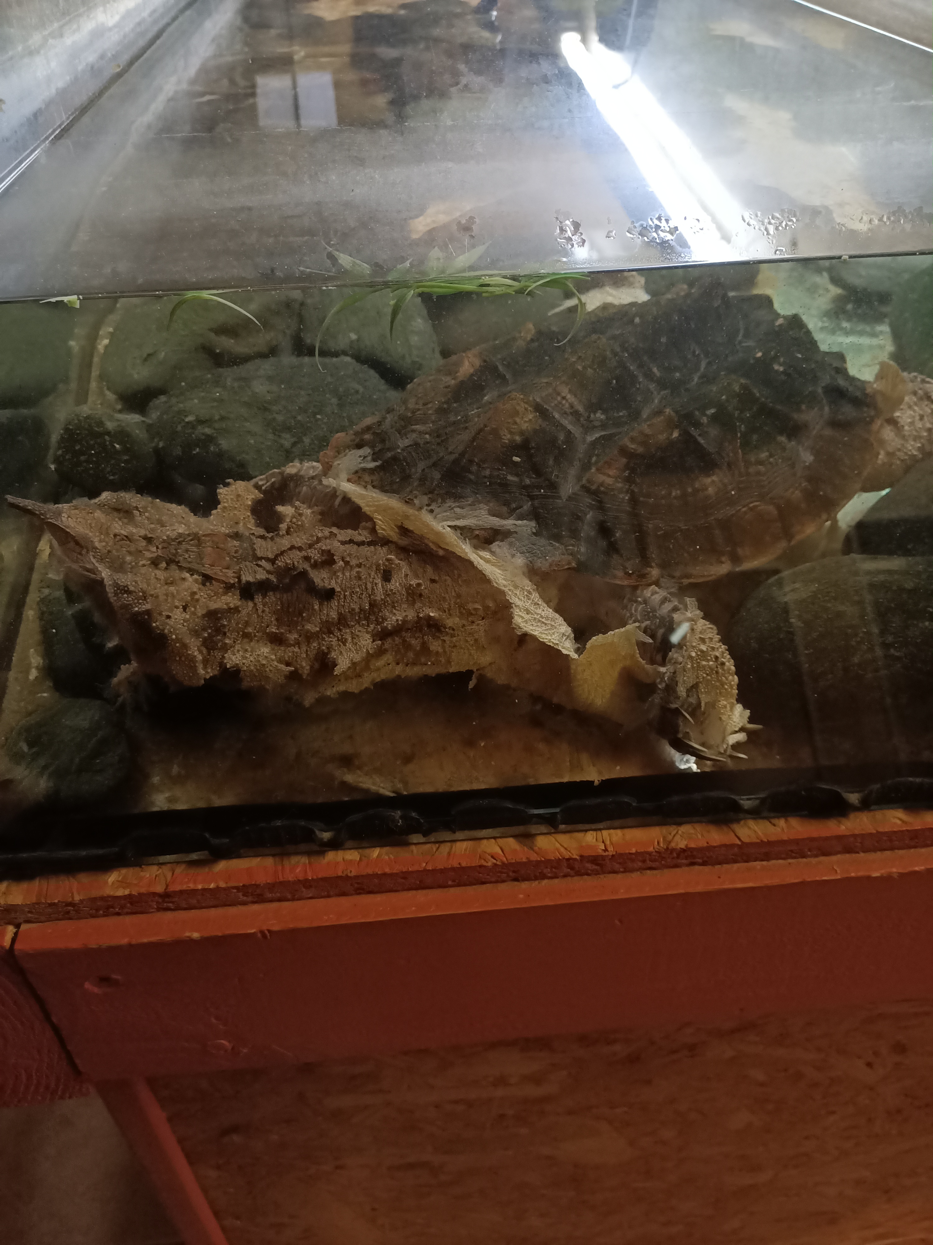 Photo n° 13 de l'avis de Dufau.a fait le 21/02/2024 à 14:51