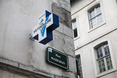 Clinique Vétérinaire du Petit Bayonne à Bayonne