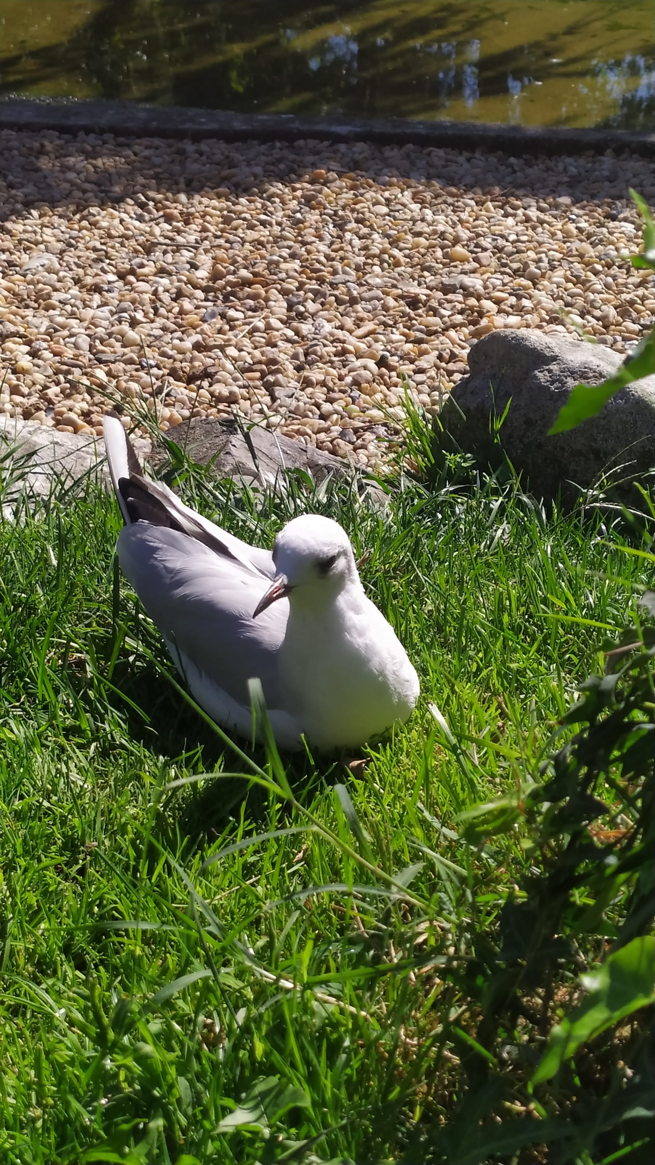 Photo n° 1 de l'avis de Joh.n fait le 23/08/2022 à 21:38