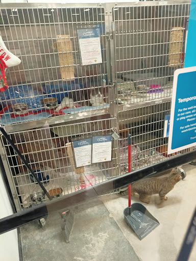 Pet Supply Store «PetSmart», reviews and photos, 12051 W Sunrise Blvd, Plantation, FL 33323, USA