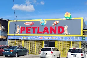 Petland Pet shop image