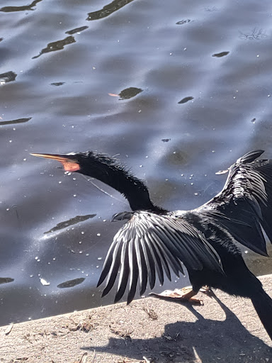 Performing Arts Theater «Barbara B. Mann Performing Arts Hall», reviews and photos, 13350 FSW Pkwy, Fort Myers, FL 33919, USA
