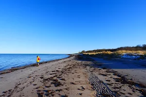 Bewaldete Düne bei Noer image