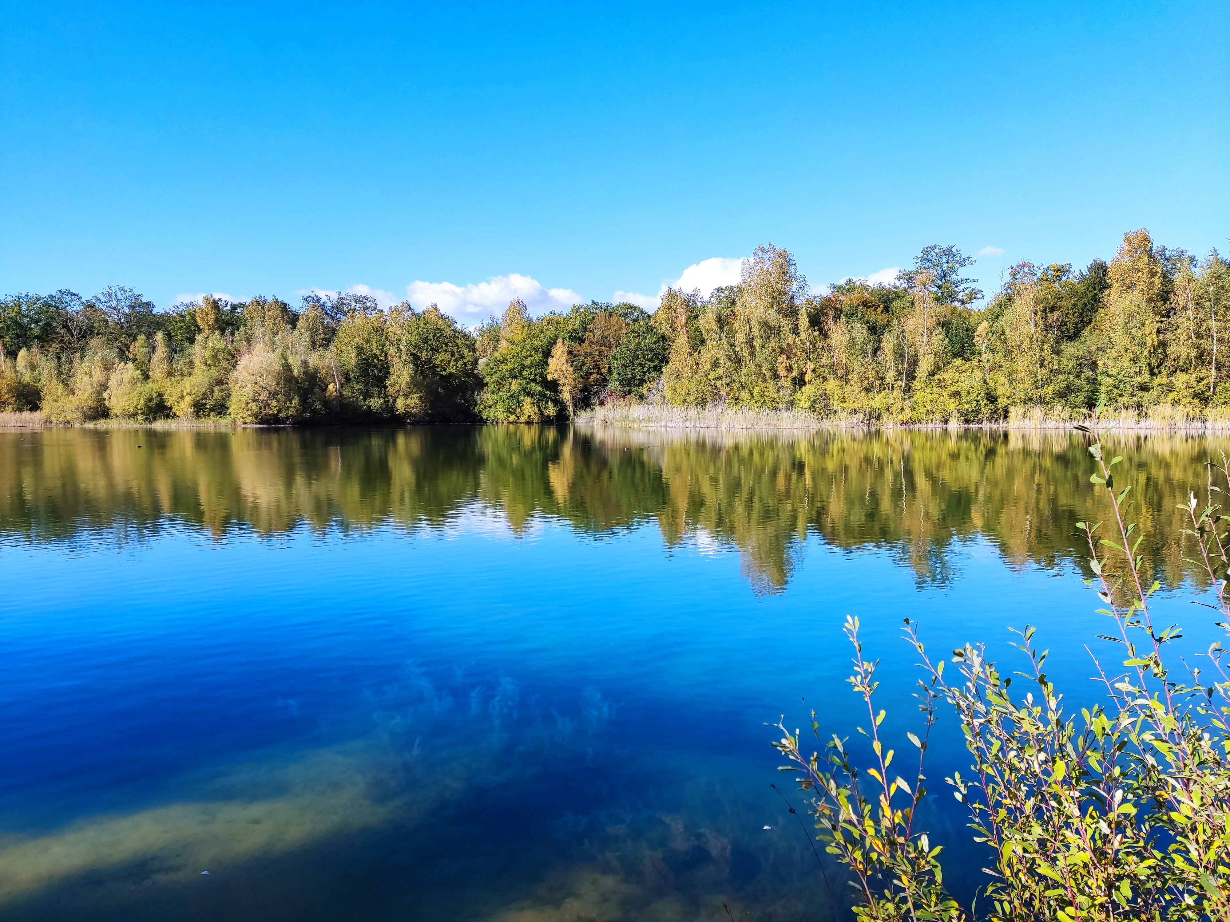 Photo n° 29 de l'avis de Mikkonen.e fait le 19/10/2021 à 08:24