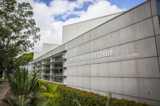 Sydney University Vet & Emergency Clinic (Camperdown)