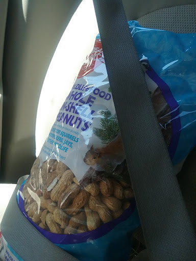 Pet Supply Store «PetSmart», reviews and photos, 850 W Hamilton Ave, Campbell, CA 95008, USA