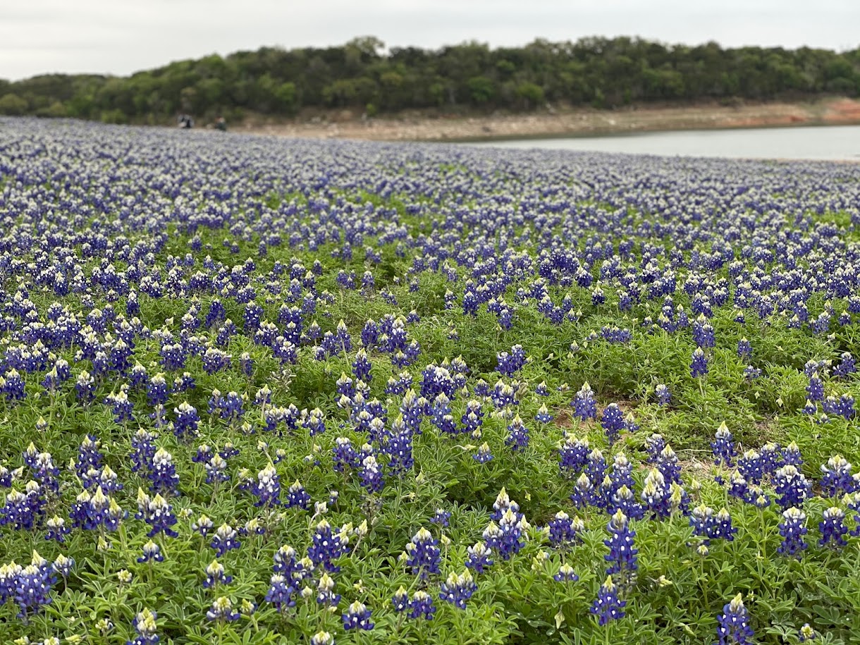 Muleshoe Bend Recreation Area