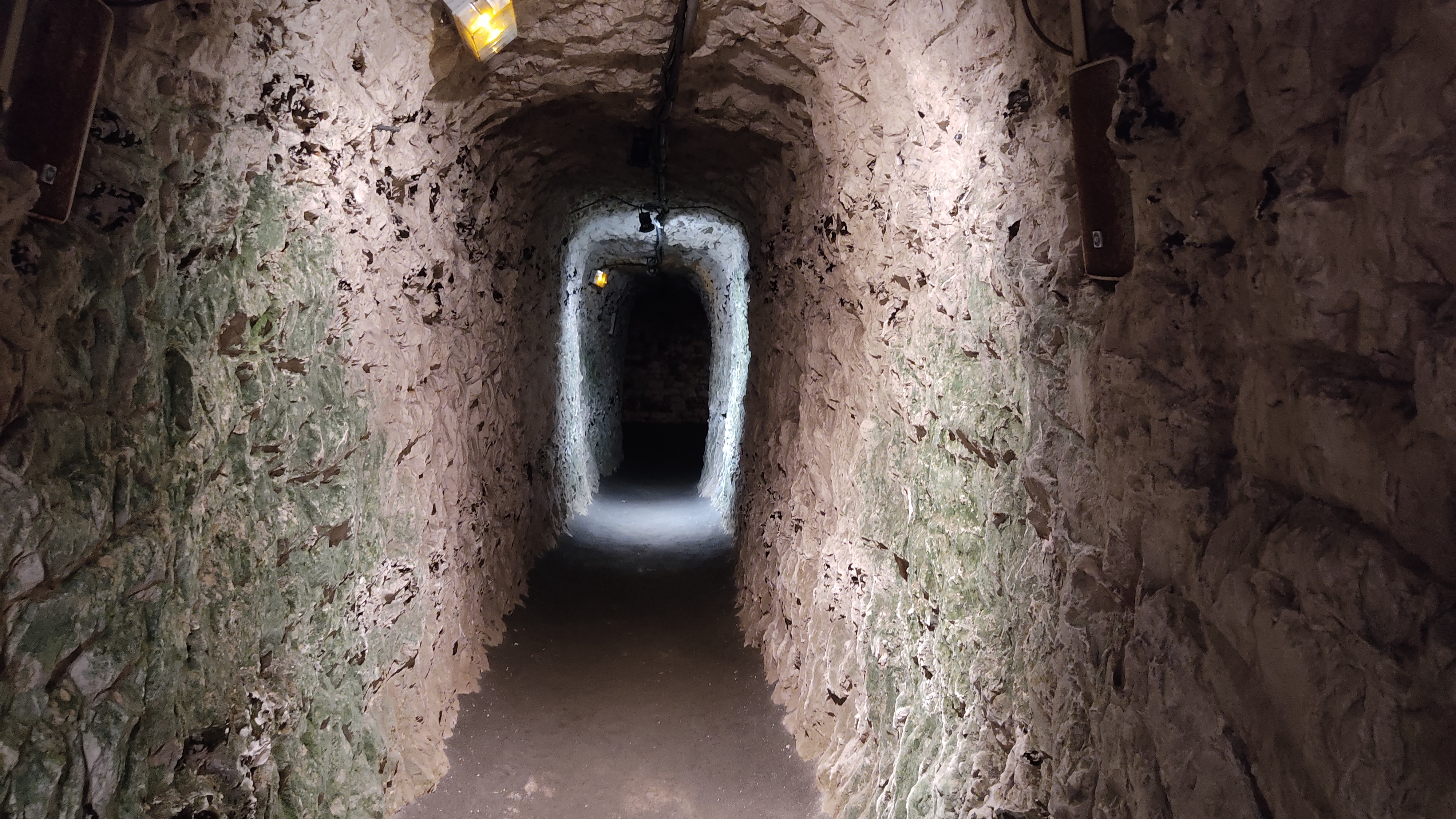 Photo n° 18 de l'avis de Thibault.e fait le 17/07/2021 à 17:19