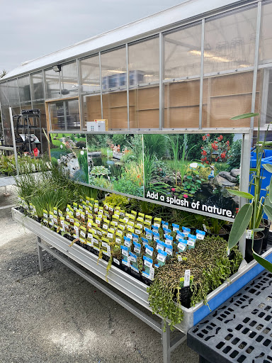 Garden Center «Stauffers of Kissel Hill Home & Garden Store», reviews and photos, 4450 Lincoln Hwy, York, PA 17406, USA