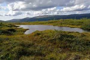 Blåfjella-Skjækerfjella National Park image