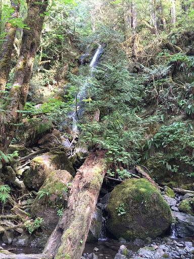 Outdoor Sports Store «The Local Hiker», reviews and photos, 173 E Main St, Spartanburg, SC 29306, USA