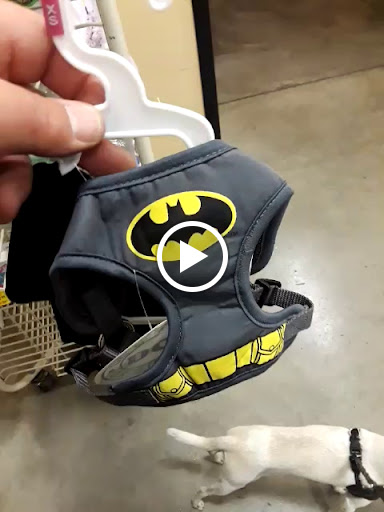 Pet Supply Store «PetSmart», reviews and photos, 2833 35th Ave, Greeley, CO 80634, USA