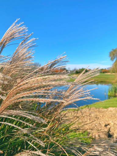 Golf Course «Willow Creek Golf & Country Club - NY», reviews and photos, 1 Clubhouse Dr, Mt Sinai, NY 11766, USA