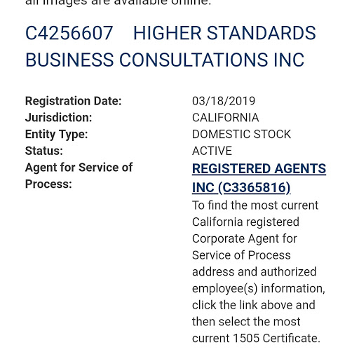 Higher Standards Business Consultations, Inc. image