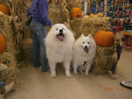 Pet Supply Store «CountryMax - Geneseo», reviews and photos, 4101 Lakeville Rd, Geneseo, NY 14454, USA