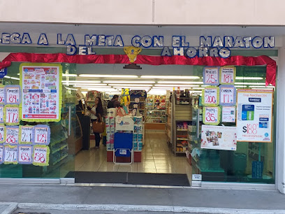 Farmacia Guadalajara Revolución